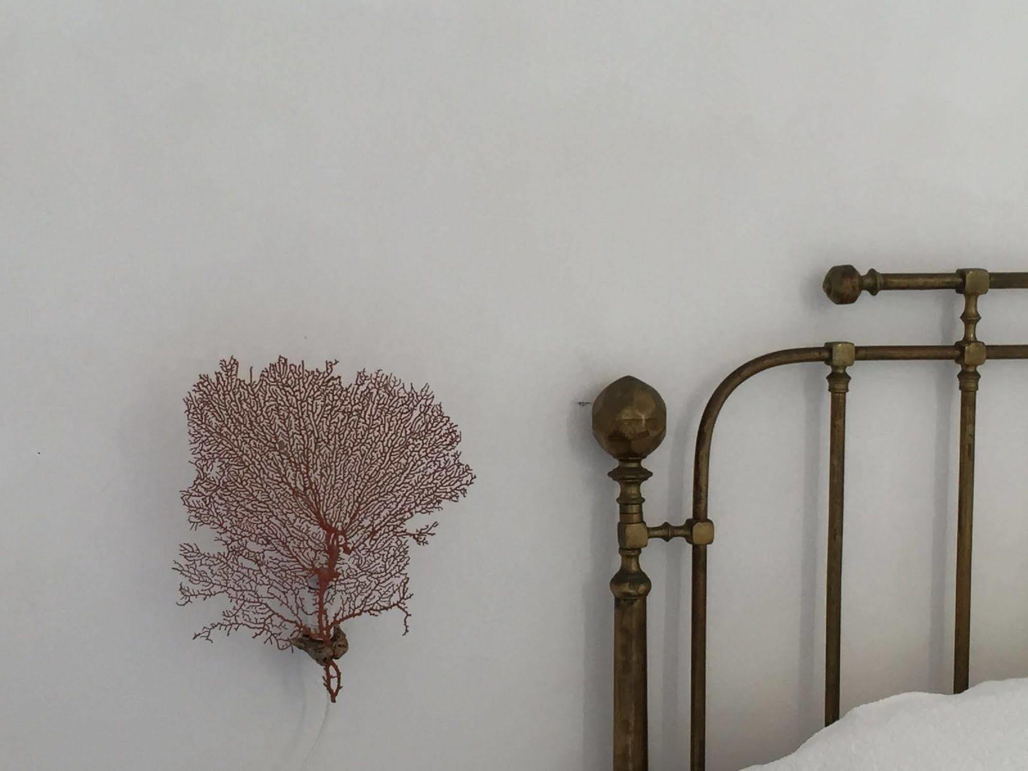 Casa Falco Della Regina Pecorini Esterno foto